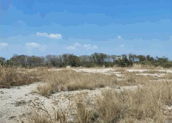 รหัสทรัพย์ 48 ขายที่ดินติดถนนบางนา-ตราด ขาเข้าชลบุรี ติดทางสาธารณะประโยชน์ และ คลองสาธารณะประโยชน์